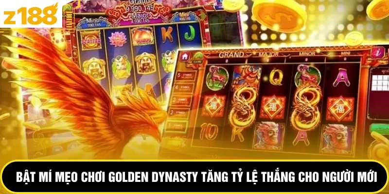 Bật mí mẹo chơi Golden Dynasty tăng tỷ lệ thắng cho người mới