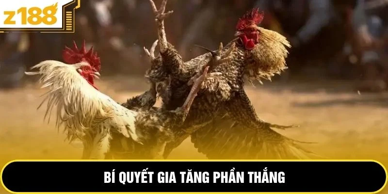 Bí quyết gia tăng phần thắng 