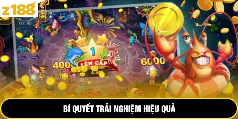 Bí quyết trải nghiệm hiệu quả 