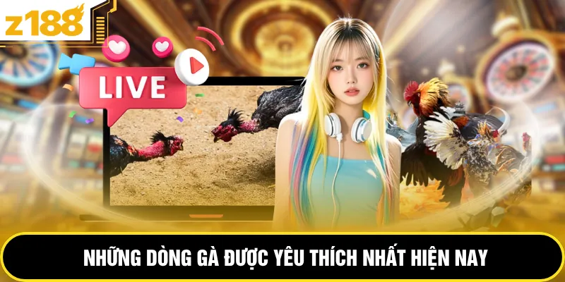 Những dòng gà được yêu thích nhất hiện nay