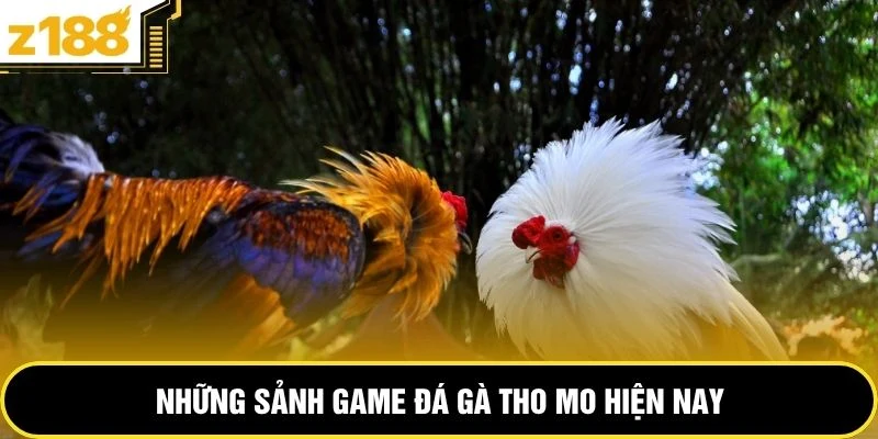 Những sảnh game đá gà tho mo hiện nay 